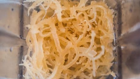 Hype um Seemoos: Wie gesund ist die Alge wirklich?