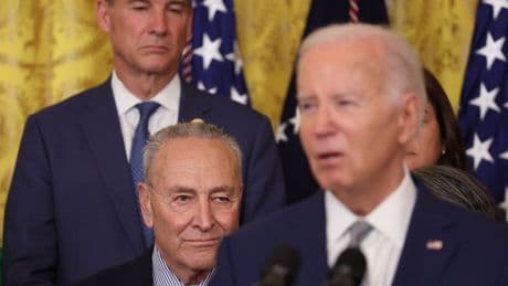 Biden book haunts Schumer