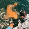 Rare orange shark with ghostly white eyes captured in first-of-its-kind sighting