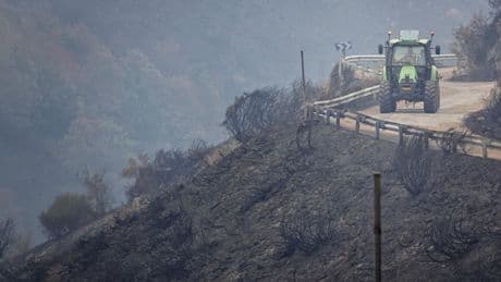 Los incendios causan pérdidas de cientos de millones y aumentan el malestar del campo: "Ha desaparecido mucho ganado"