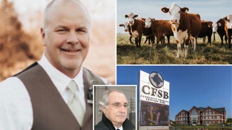 ‘Bernie Madoff of cows’ orchestrated $100M ‘ghost cattle’ Ponzi scheme: lawsuit