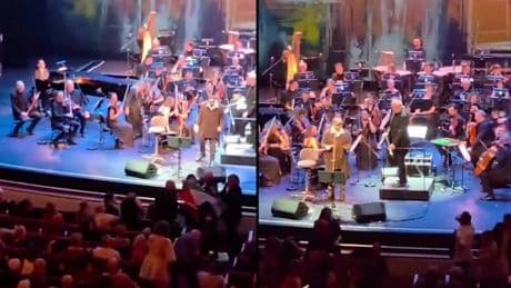 "Esperienza traumatica". L'attacco con la vernice dei pro-Pal contro il cantante israeliano
