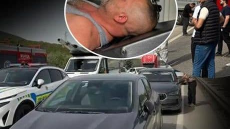 Bir arı yüzlerce kişiyi yolda bıraktı! İstanbul Bursa karayolu kapandı