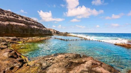 El nivel del mar moldeó la evolución marina en Canarias: así se reconectaron las islas durante milenios