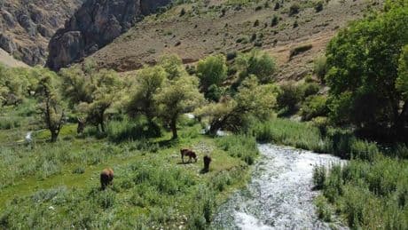 Erzincan'ın dünyaca ünlü şelalesinin hayat kaynağı keşfedildi! 9 ayrı kaynakla besliyor: Gören hayran kalıyor