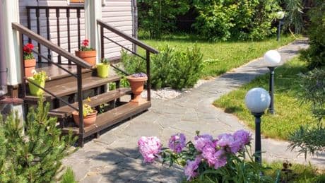 Top ways to protect plants from thieves as most stolen species revealed