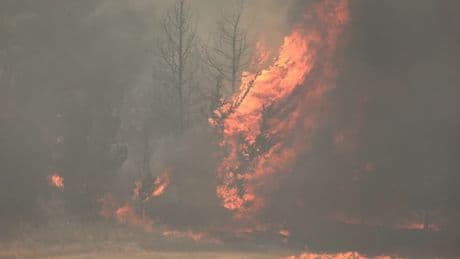Les images des incendies dévastateurs qui ont fait au moins 22 blessés dans la région de Jérusalem