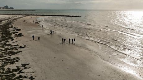 Rare flesh-eating bacteria has already killed four beachgoers in Florida this year