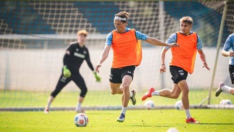 Nach Rückenproblemen - Kopfballverbot für Hertha-Kapitän Reese