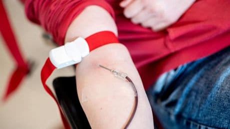 Gesundheit: Trotz Sommerferien: Lage bei Blutspenden stabil