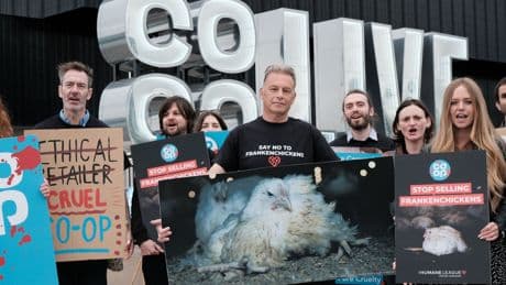 Co-Op prioritises corporate greed over animal welfare – Chris Packham