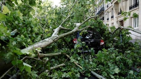 «500 à 1000 arbres sévèrement touchés» : la mairie de Paris déplore «la pire tempête depuis 1999»