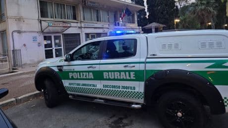 Ospedaletti, l’ambulanza veterinaria salva un cagnolino da un colpo di calore | Foto