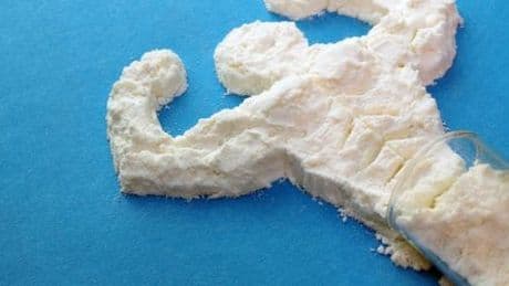 Ernährungstrend Proteine: Worauf beim Kauf von Proteinpulvern zu achten ist