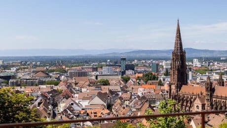 Vorfall in der Altstadt: Hund beißt Kind in Freiburg - Polizei sucht Zeugen