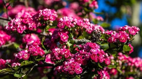 Wetter: Bis zu 29 Grad bis Freitag - Abkühlung am Wochenende