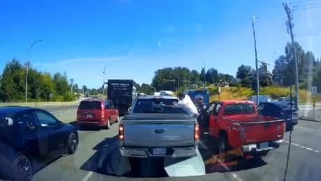 Dashcam captures suspected road rage in Surrey in which driver is pepper-sprayed