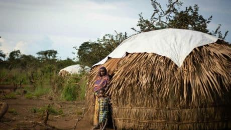 Centrafrique: comment le pastoralisme est devenu un enjeu sécuritaire, selon l’ONG ICG