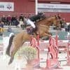 Équitation. Grégory Cottard remporte le NHS Grand Prix CSI** avec son cheval de cœur