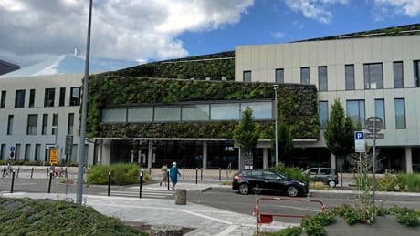 Les cochons prioritaires sur les cancéreux aux Hôpitaux universitaires de Strasbourg