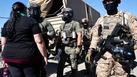 California professor accused of assault after he was ‘kidnapped’ during ICE protests at cannabis farm raid