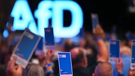 Partei im Umfragehoch: Der Zulauf zur AfD ist nicht einmal gebremst