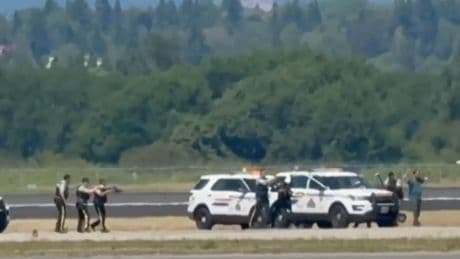 Man hijacks plane, scrambling fighter jets in act ‘constituting terrorism’, police say