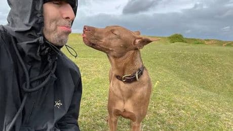 ‘Remarkable’ true story of Oasis dog on band’s concert graphics revealed