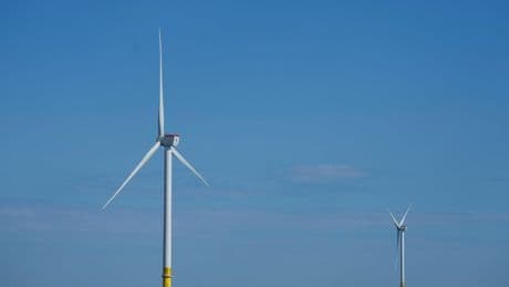 Trump administration cancels plans to develop new offshore wind projects