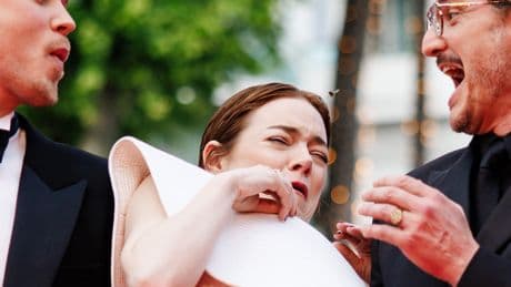 Emma Stone nearly attacked by bee at Cannes with Pedro Pascal, Austin Butler — watch them freak out