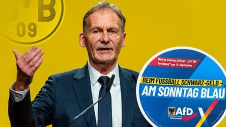 Wahlwerbung sorgt für Ärger - BVB wehrt sich gegen AfD-Spruch!