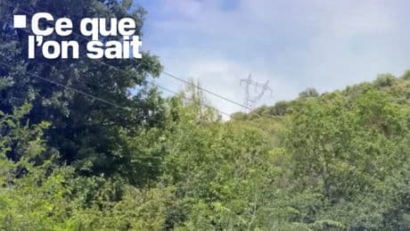 160.000 foyers privés d'électricité, revendication, enquêtes... Ce que l'on sait après l'importante panne de courant qui a touché les Alpes-Maritimes et le Var