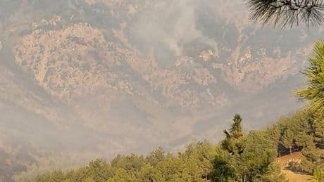 Hatay'da orman yangını ikinci gününde: Havadan müdahale başladı