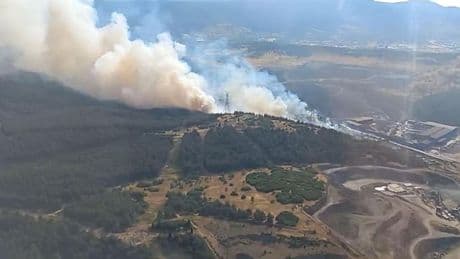 İzmir'de orman yangını