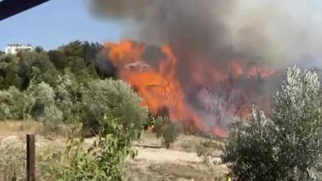 Orman yangınları can almaya devam ediyor!