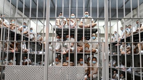 Judge rips Trump for trying to ‘set aside the rule of law’ in case of Venezuelan asylum-seeker deported to El Salvador