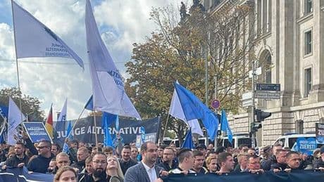Almanya'da 'AfD'nin yasaklanmasını destekliyor musunuz?' anketi
