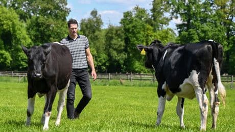 De BBB-gedeputeerde die strenger wilde zijn dan het kabinet kwam tegenover boeren te staan. ‘Hoe meer natuur erbij komt, hoe minder ruimte wij krijgen’