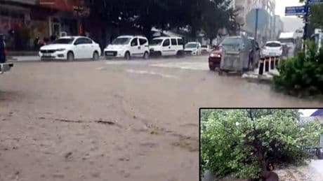 Sağanak nedeniyle caddeler göle döndü! Ağaç otomobilin üzerine devrildi