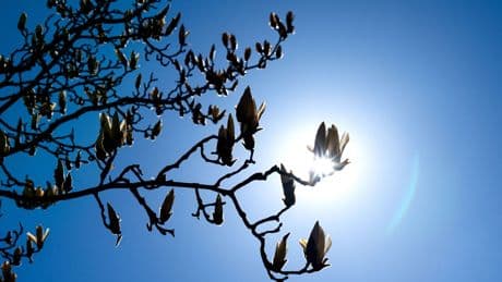 Wetter: Viel Sonne zum Wochenstart in Niedersachsen und Bremen