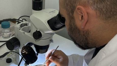 Asya kökenli kenenin hastalık bulaştırma riski ne?