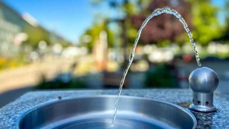Extremwetter: Hitzeschutzportal zeigt kühle Orte