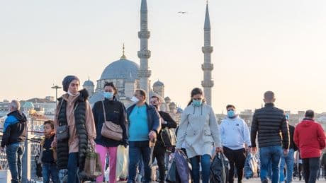 Çin'den geliyor, tedavisi yok, Chikungunya virüsü kapıda mı?