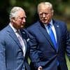 King Charles complains Mandelson scandal is an 'unwelcome distraction' from Trump's state visit - as Palace left 'dismayed' over Epstein furore
