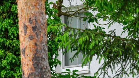 Unterstützung von russischer Miliz – Terrorermittler durchsuchen Haus