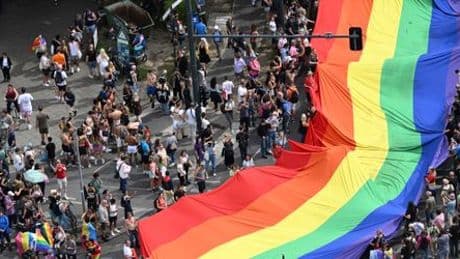 Regenbogenflagge, Frauke Brosius-Gersdorf: Kulturkämpfer, das sind immer die anderen