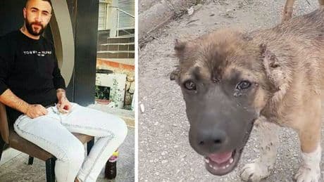 Bursa’da köpeğe işkence eden kişi tutuklandı