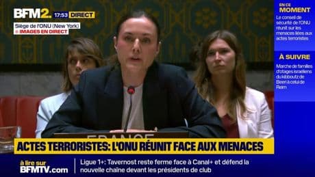 La France interpelle le conseil de sécurité de l'ONU sur les menaces terroristes