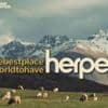 'Best place to have herpes': New Zealand ad wins top prize