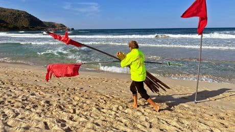 Mallorca: Urlauberin beim Baden von Tier angegriffen